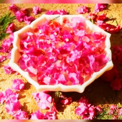 White Marble Urli Flower Bowl