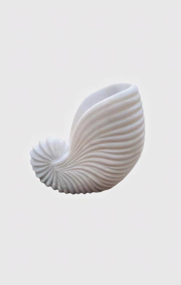 Marble Shell Conch Design Flower Pot - Image 3